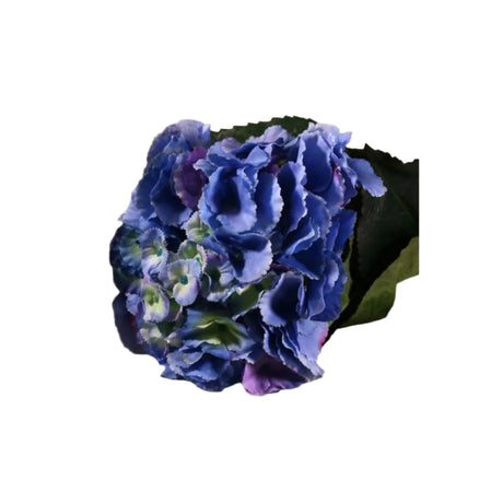 Hydrangea Blue 70cm